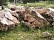 Глыбы цветные, 1500-3000 мм